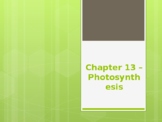 Chapter 13 - Photosynthesis PowerPoint Lecture