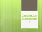 Chapter 14 - Homeostasis PowerPoint Lecture