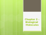 Chapter 2 -Biological Molecules PowerPoint Lecture