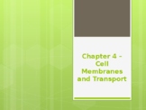 Chapter 4 - Cell Membranes and Transport PowerPoint Lecture