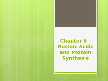 Preview of Chapter 6 - Nucleic Acids and Protein Synthesis PowerPoint Lecture