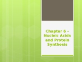 Chapter 6 - Nucleic Acids and Protein Synthesis PowerPoint