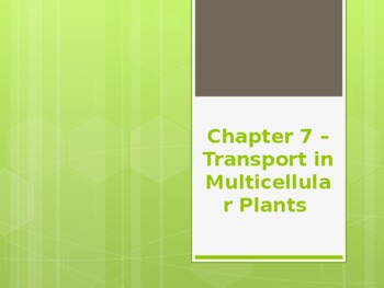 Preview of Chapter 7 - Multicellular Plants PowerPoint Lecture