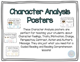 Character Analysis Posters