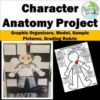 Character Anatomy