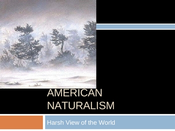 Preview of Characteristics of American Naturalism/Art