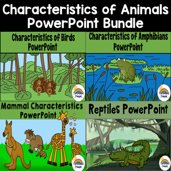 Preview of Characteristics of Animals PowerPoint (Birds, Reptiles, Amphibians, Mammals)