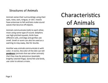 Preview of Characteristics of Animals Review Book