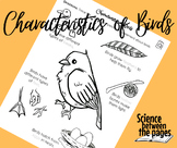 Characteristics of Birds