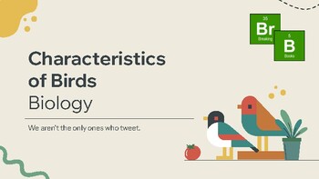 Preview of Characteristics of Birds - FREE