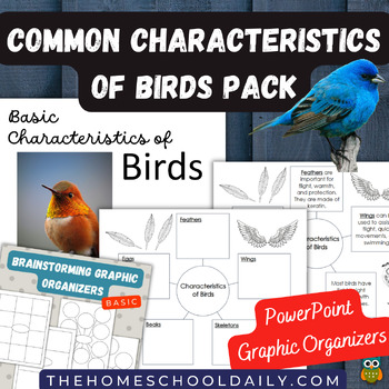 Characteristics of Birds Pack by Marie Nimmons | TPT