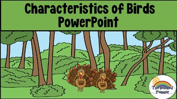 Preview of Characteristics of Birds PowerPoint
