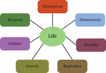 Preview of Characteristics of Life Article (to go along with worksheet)