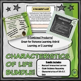 Characteristics of Life Bundle!