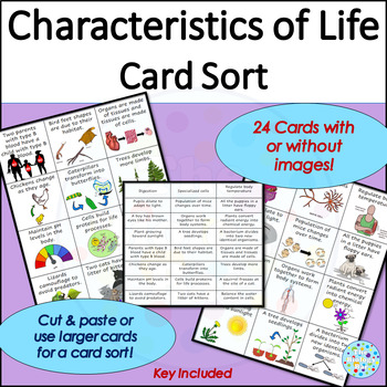 Preview of Characteristics of Life Card Sort