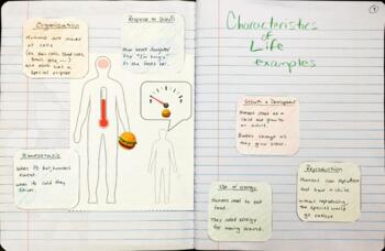Characteristics Of Life Foldable Teaching Resources Tpt