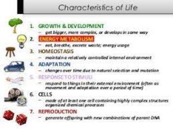 Preview of Characteristics of Life Google Slides Lesson