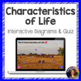 Characteristics of Life Interactive Diagram