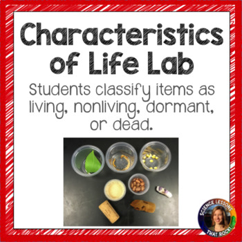 Characteristics Of Life Lab By Science Lessons That Rock Tpt