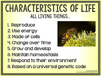 what are the characteristics of life