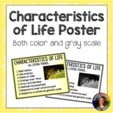 Characteristics of Life Poster