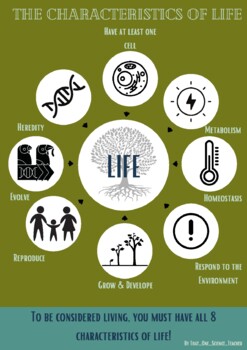 Characteristics Of Life Poster 8 By The Robin S Nest Tpt