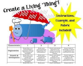 Characteristics Of Life Project By Cultivating Dahls Tpt