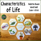 Characteristics of Life: Room Decor, Word Wall: Honeycomb Pattern