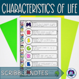 Characteristics of Life Scribble Notes