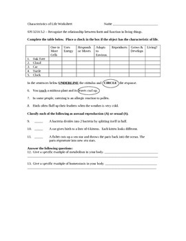 Characteristics Of Life Worksheet By Science Fun Tpt
