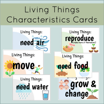 Characteristics Of Living Things Display Cards By The Dog Did It