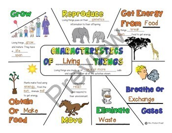 Characteristics Of Living Things Notes Quiz Ppt By Mrs Proton Priest