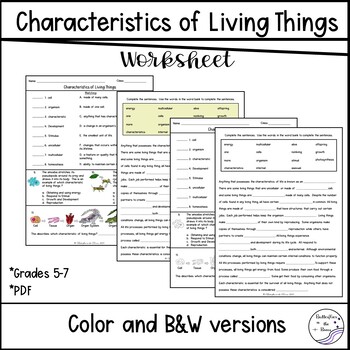 Preview of Characteristics of Living Things Review Worksheet