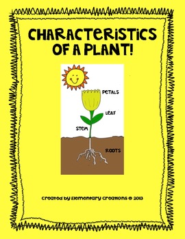 Characteristics of Plants by Elementary Creations | TpT