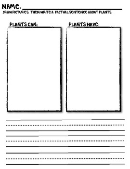 Characteristics of Plants by Elementary Creations | TpT