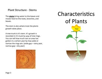 Preview of Characteristics of Plants Review Book