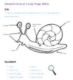 Characteristics of a Living Thing - Snail Activity