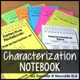 Direct and Indirect Characterization Activities - STEAL Wo