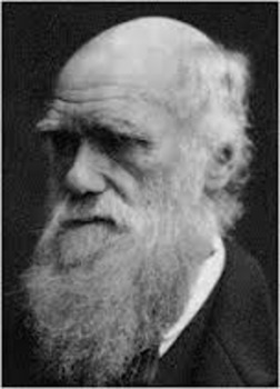 Preview of Charles Darwin Biography Summary/Essay/Test/Answers