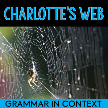 Preview of Charlotte's Web: Grammar-in-Context