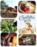 Charlotte's Web Family Learning Guide
