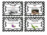 Charlotte's Web Vocabulary Cards ENGLISH