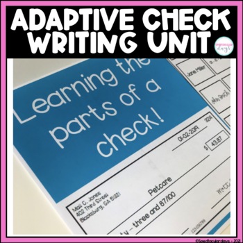 Preview of Check Writing Unit