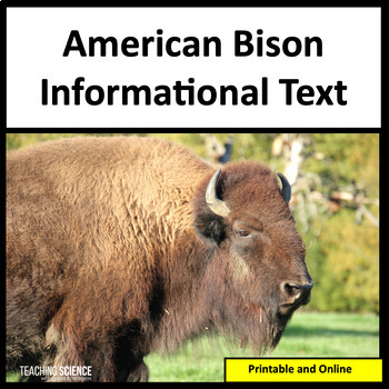 Preview of American Bison Informational Text Reading Unit Summer Reading Passages