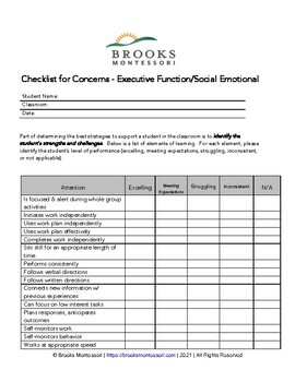 Preview of Checklist for Concerns - Executive Functioning and Social/Emotional Learning
