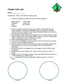 cheek cell experiment write up