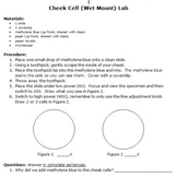 Cheek and Onion Cell Lab