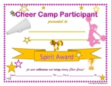 PINK Cheer Camp Participant Certificate Spirit Award!  All