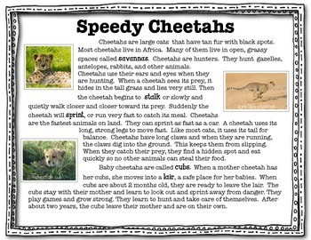 Open Box Deals – The Speedy Cheetah