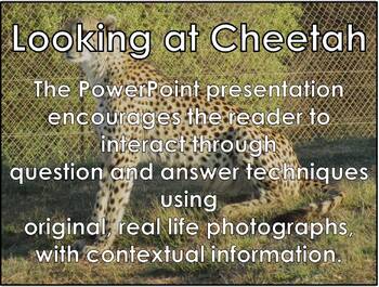 Preview of CHEETAH - Interactive PowerPoint presentation with video snippets